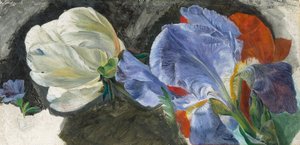花の研究（紙に油彩）